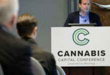 cannabis conference