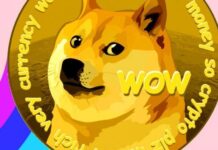 Elon Musk Says Reducing Dogecoin Fee ‘Super Important’ To Make Adoption At Places Like AMC Theaters Viable by