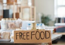 Illegal Alien Romanian Brothers Plead Guilty to Multistate SNAP Benefit Fraud Scheme